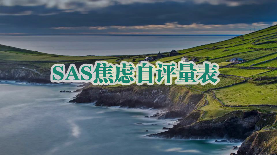 SAS焦虑自评量表